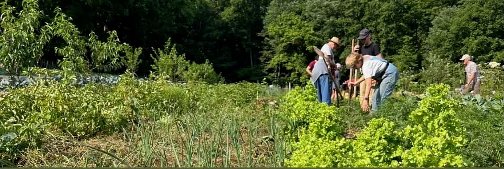 Picture of Volunteers