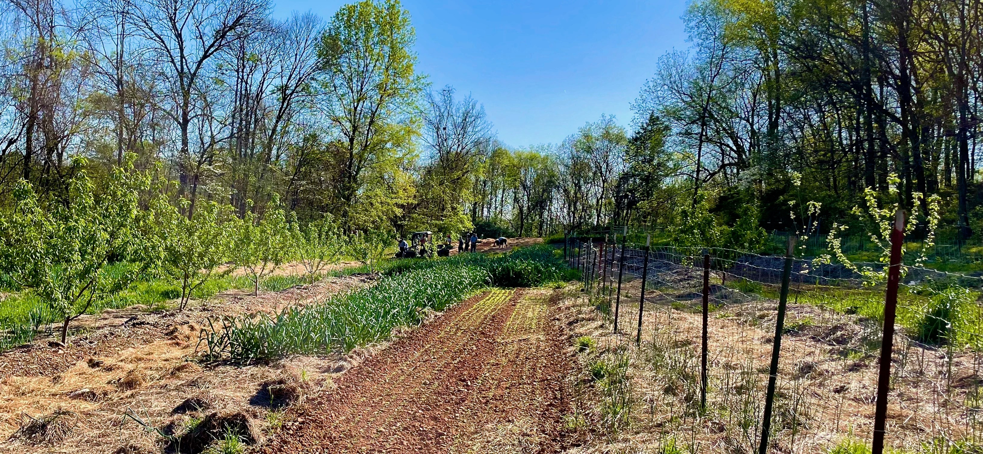 Welcome Garden Tennessee